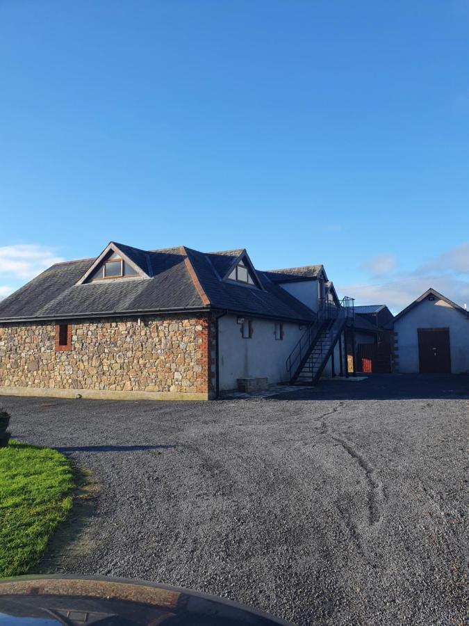 Mount Bolton Over Stables Apartments Portlaw Kültér fotó
